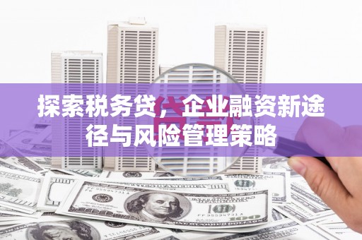 滴道探索税务贷，企业融资新途径与风险管理策略