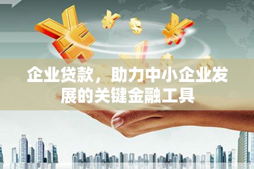 滴道企业贷款，助力中小企业发展的关键金融工具