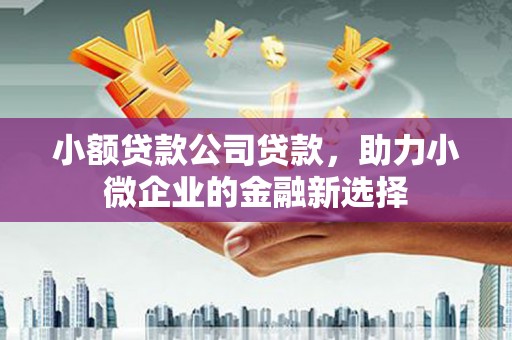 滴道小额贷款公司贷款，助力小微企业的金融新选择