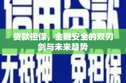 滴道贷款担保，金融安全的双刃剑与未来趋势