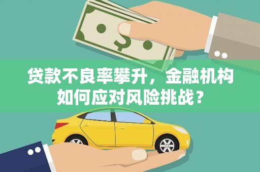 滴道贷款不良率攀升，金融机构如何应对风险挑战？