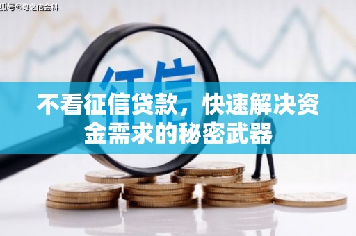 滴道不看征信贷款，快速解决资金需求的秘密武器