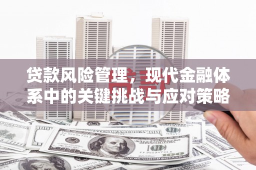 滴道贷款风险管理，现代金融体系中的关键挑战与应对策略