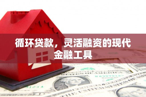 滴道循环贷款，灵活融资的现代金融工具