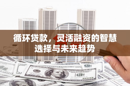 滴道循环贷款，灵活融资的智慧选择与未来趋势