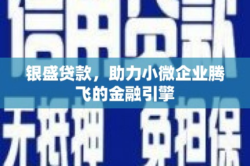 滴道银盛贷款，助力小微企业腾飞的金融引擎