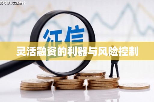 滴道灵活融资的利器与风险控制