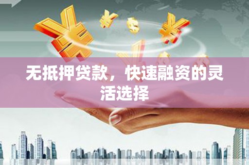 滴道无抵押贷款，快速融资的灵活选择