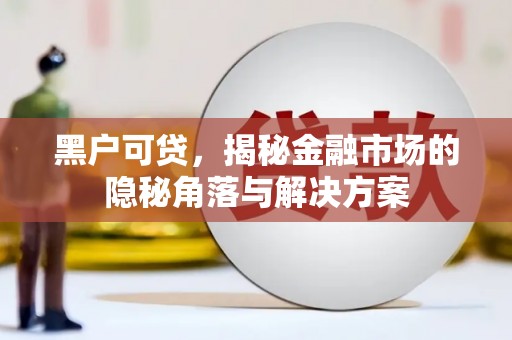 滴道黑户可贷，揭秘金融市场的隐秘角落与解决方案