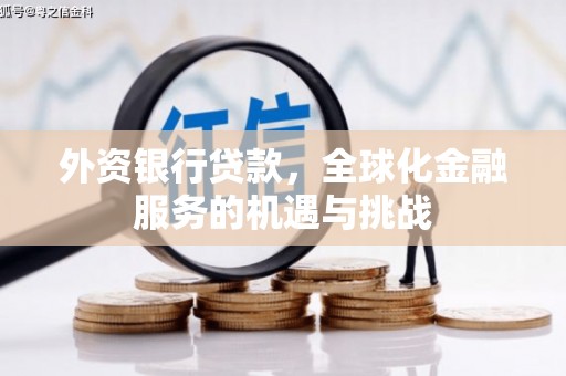 滴道外资银行贷款，全球化金融服务的机遇与挑战