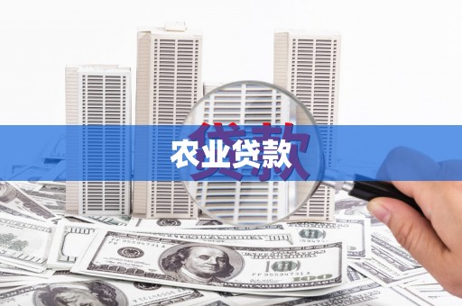 滴道农业贷款