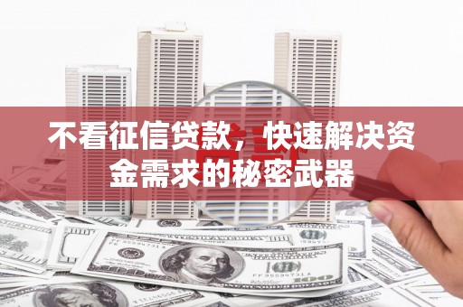 滴道不看征信贷款，快速解决资金需求的秘密武器