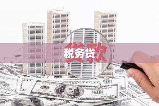 滴道税务贷