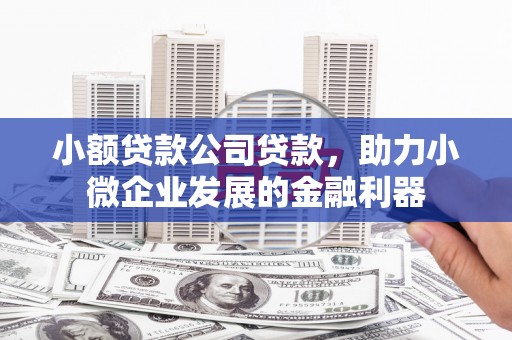 滴道小额贷款公司贷款，助力小微企业发展的金融利器