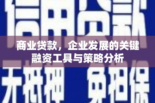滴道商业贷款，企业发展的关键融资工具与策略分析
