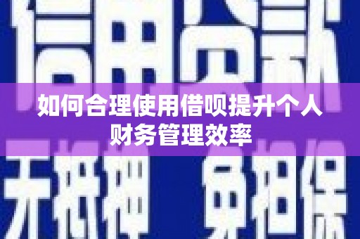 滴道如何合理使用借呗提升个人财务管理效率