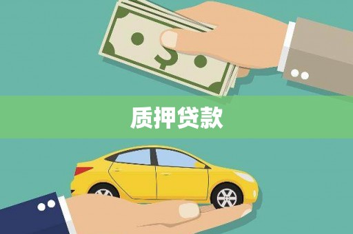 滴道质押贷款