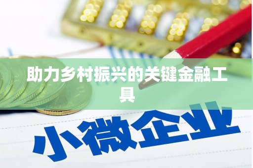 滴道助力乡村振兴的关键金融工具