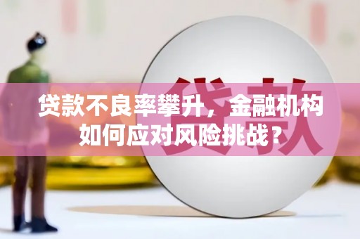 滴道贷款不良率攀升，金融机构如何应对风险挑战？