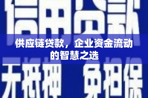 滴道供应链贷款，企业资金流动的智慧之选