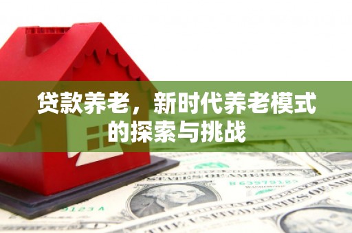 滴道贷款养老，新时代养老模式的探索与挑战