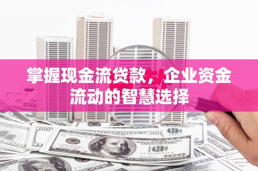 滴道掌握现金流贷款，企业资金流动的智慧选择