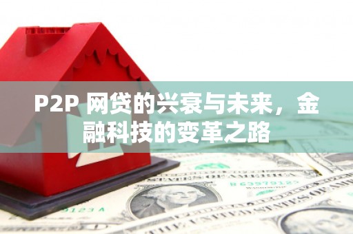 滴道P2P 网贷的兴衰与未来，金融科技的变革之路
