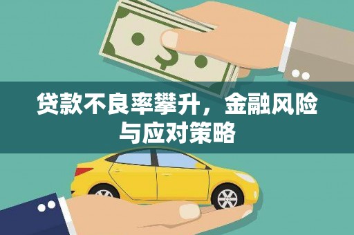 滴道贷款不良率攀升，金融风险与应对策略