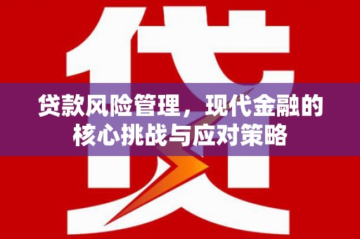 滴道贷款风险管理，现代金融的核心挑战与应对策略