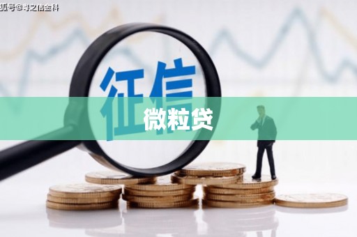 滴道微粒贷