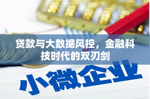 滴道贷款与大数据风控，金融科技时代的双刃剑
