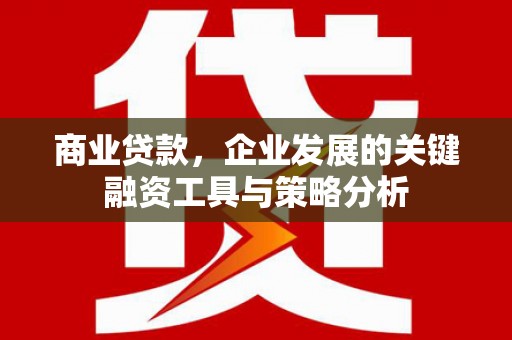 滴道商业贷款，企业发展的关键融资工具与策略分析