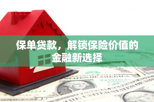 滴道保单贷款，解锁保险价值的金融新选择