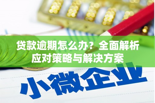 滴道贷款逾期怎么办？全面解析应对策略与解决方案
