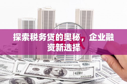 滴道探索税务贷的奥秘，企业融资新选择