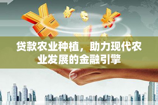 滴道贷款农业种植，助力现代农业发展的金融引擎