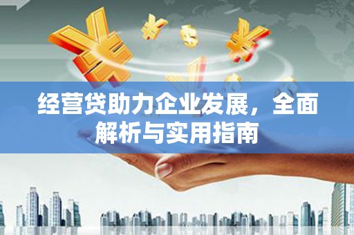 滴道经营贷助力企业发展，全面解析与实用指南