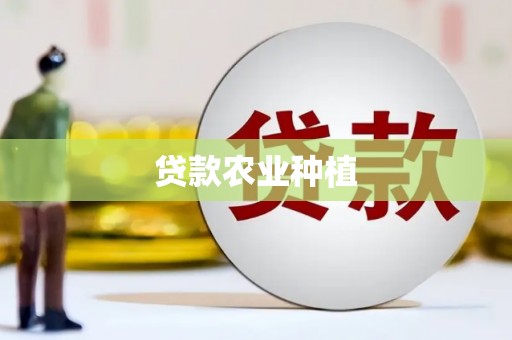 滴道贷款农业种植