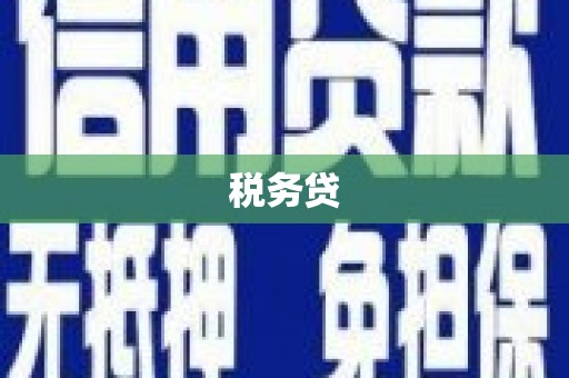 滴道税务贷
