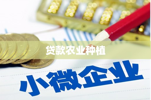 滴道贷款农业种植