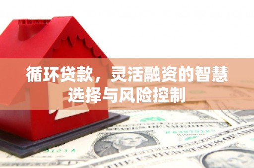 滴道循环贷款，灵活融资的智慧选择与风险控制