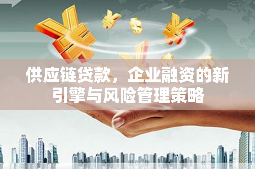 滴道供应链贷款，企业融资的新引擎与风险管理策略
