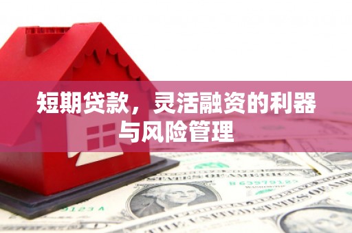 滴道短期贷款，灵活融资的利器与风险管理