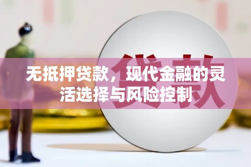 滴道无抵押贷款，现代金融的灵活选择与风险控制