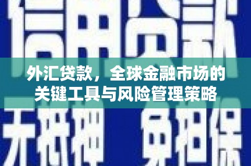 滴道外汇贷款，全球金融市场的关键工具与风险管理策略