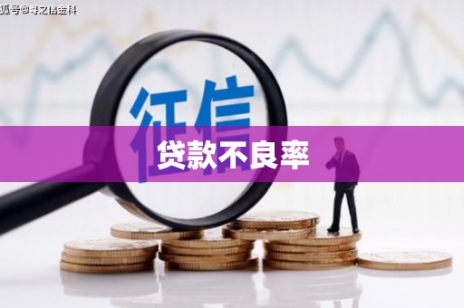 滴道贷款不良率