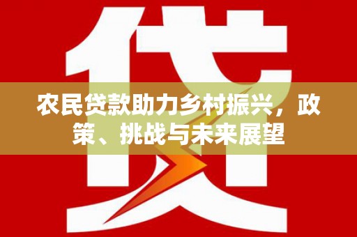 滴道农民贷款助力乡村振兴，政策、挑战与未来展望