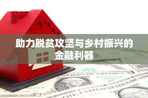 滴道助力脱贫攻坚与乡村振兴的金融利器