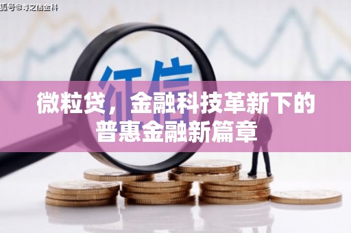 滴道微粒贷，金融科技革新下的普惠金融新篇章