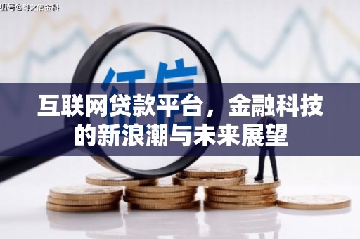 滴道互联网贷款平台，金融科技的新浪潮与未来展望